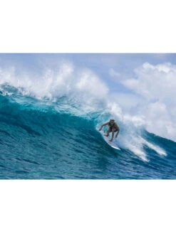 TORQ TET 8'0" LONG WHITE + PINLINE -Driff Surf Store torq tet 8 0 longboard white pinline 6