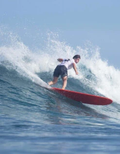 Driff Surf Store -Driff Surf Store torq tet longboard classic 8 0 9 6 1